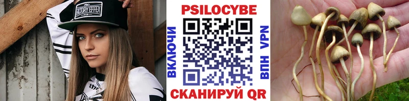Псилоцибиновые грибы ЛСД  наркота  Октябрьский 